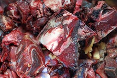 Generi differenti di prodotti a base di carne usati per l'alimentazione biologicamente appropriata cruda del gatto o del cane immagini stock libere da diritti Generi differenti di prodotti a base di carne usati per l'alimentazione biologicamente appropriata cruda del gatto o del cane immagini stock libere da diritti
