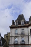A generic British apartment building from below with a triangular shaped flock of birds flying above stock photo A generic British apartment building from below with a triangular shaped flock of birds flying above stock photo