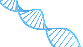 Genetic Data String Concept Of A Blue Double Helix Dna Molecule Seamless 3d Animation Loop Stock Video Video Of Helix Genome Genetic Data String Concept Of A Blue Double Helix Dna Molecule Seamless 3d Animation Loop Stock Video Video Of Helix Genome