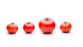 Genetic Modification On Tomatoes Royalty Free Stock Image