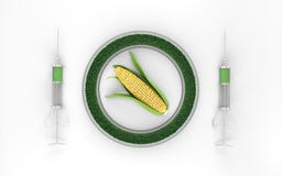 Genetically Modified Corn On A White Background 3d Royalty Free Stock Image Genetically Modified Corn On A White Background 3d Royalty Free Stock Image