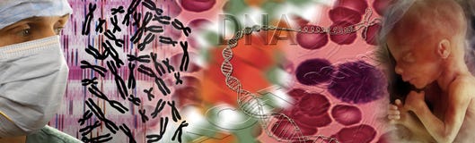 Genetics - DNA - Fetus