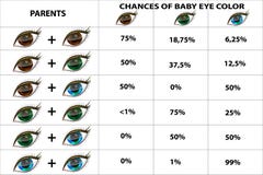 Eye Color Chance Chart