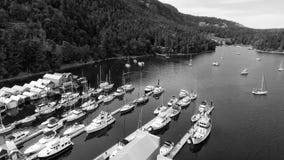 Genoa Bay-Vogelperspektive im Vancouver Island stockfotografie Genoa Bay-Vogelperspektive im Vancouver Island stockfotografie