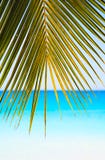 Genommen an einem sonnigen Tag stockfotografie Genommen an einem sonnigen Tag stockfotografie