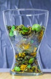 Genomskinlig vas för exponeringsglas med torra dekorativa blommor, frukter, växter fotografering för bildbyråer Genomskinlig vas för exponeringsglas med torra dekorativa blommor, frukter, växter fotografering för bildbyråer