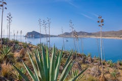Genoveses bay and beach from mountain in Gata Cape Almeria royalty free stock photos Genoveses bay and beach from mountain in Gata Cape Almeria royalty free stock photos