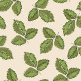 Gentle botanical composition. Seamless vector lighting pattern background 01. Gentle botanical composition. Seamless vector lighting pattern background stock illustration Gentle botanical composition. Seamless vector lighting pattern background 01. Gentle botanical composition. Seamless vector lighting pattern background stock illustration