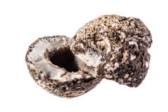 geode fotografia stock libera da diritti geode fotografia stock libera da diritti