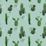 Geometrische Kaktuspflanze-nahtloses Muster Exotischer tropischer Sommer-botanischer Hintergrund stock abbildung Geometrische Kaktuspflanze-nahtloses Muster Exotischer tropischer Sommer-botanischer Hintergrund stock abbildung