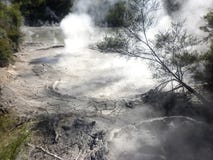 Geothermische Modderpool Rotorua, Nieuw Zeeland royalty-vrije stock afbeelding Geothermische Modderpool Rotorua, Nieuw Zeeland royalty-vrije stock afbeelding