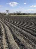 Geploegd gebied voor aardappel in bruine grond op open plattelandsaard stock foto's Geploegd gebied voor aardappel in bruine grond op open plattelandsaard stock foto's