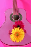 Gerbera da cor-de-rosa do amarelo da flor do Hippie na guitarra Fotos de Stock Gerbera da cor-de-rosa do amarelo da flor do Hippie na guitarra Fotos de Stock