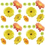 Gerbera flowers-seamless pattern on white background, yellow, or stock illustration Gerbera flowers-seamless pattern on white background, yellow, or stock illustration