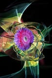 Gerbera and multi-colored improvization by light in a background stock photography Gerbera and multi-colored improvization by light in a background stock photography