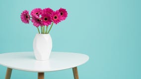 Gerberas cor-de-rosa escuros em um vaso em uma tabela retro Dia do ` s do dia, do Valentim do ` feliz s do dia, das mulheres do ` Imagens de Stock Gerberas cor-de-rosa escuros em um vaso em uma tabela retro Dia do ` s do dia, do Valentim do ` feliz s do dia, das mulheres do ` Imagens de Stock