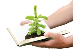 Germs Of The Knowledge Stock Photography Germs Of The Knowledge Stock Photography