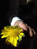 Geschenk lizenzfreies stockbild Geschenk lizenzfreies stockbild