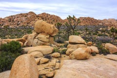 Gestalten Sie Ansicht von Flusssteinen, Bäume, Kakteen vom Wanderweg in Joshua Tree National Park, Kalifornien, Vereinigte Staate Lizenzfreies Stockbild Gestalten Sie Ansicht von Flusssteinen, Bäume, Kakteen vom Wanderweg in Joshua Tree National Park, Kalifornien, Vereinigte Staate Lizenzfreies Stockbild