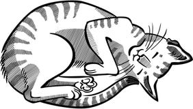 Gestreepte Cat Curled Up Asleep Royalty-vrije Stock Afbeelding