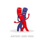 Gesunde Ader und Arterienzeichentrickfilm-figur lokalisiert auf weißem Hintergrund Flaches Design des glücklichen Aderikonen-Vekt lizenzfreie abbildung Gesunde Ader und Arterienzeichentrickfilm-figur lokalisiert auf weißem Hintergrund Flaches Design des glücklichen Aderikonen-Vekt lizenzfreie abbildung