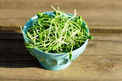 Gesunde grüne organische rohe Sonnenblumensprösslinge bereit zum Essen oder zum Smoothie Junge rohe frische grüne Zweige am sonni stockbild Gesunde grüne organische rohe Sonnenblumensprösslinge bereit zum Essen oder zum Smoothie Junge rohe frische grüne Zweige am sonni stockbild
