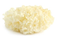 Getrocknete Schnee pilzartige Tremella fuciformis lizenzfreie stockbilder Getrocknete Schnee pilzartige Tremella fuciformis lizenzfreie stockbilder