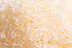 Getrockneter Schneepilz (Tremella fuciformis) auf weißem Hintergrund stockfotos Getrockneter Schneepilz (Tremella fuciformis) auf weißem Hintergrund stockfotos
