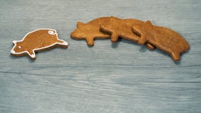 Geurige peperkoek piggy voor goed geluk op houten achtergrond royalty-vrije stock fotografie Geurige peperkoek piggy voor goed geluk op houten achtergrond royalty-vrije stock fotografie