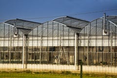 Gewächshaus unter blauem Himmel stockfotografie Gewächshaus unter blauem Himmel stockfotografie