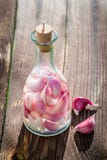 Gezonde en eigengemaakte likeur met knoflook en alcohol royalty-vrije stock afbeeldingen Gezonde en eigengemaakte likeur met knoflook en alcohol royalty-vrije stock afbeeldingen