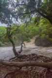 Gezwelde rivieren en gutsende wateren op Maui royalty-vrije stock afbeelding Gezwelde rivieren en gutsende wateren op Maui royalty-vrije stock afbeelding