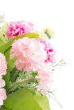 Geïsoleerd beeld van de valse bloem met vaas op witte achtergrond Stock Fotografie Geïsoleerd beeld van de valse bloem met vaas op witte achtergrond Stock Fotografie