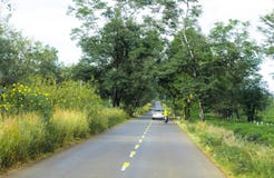 Gia Lai, Vietnam - November 24, 2018: The beautiful road passes through tea farm Gia Lai Province, Vietnam. royalty free stock photos Gia Lai, Vietnam - November 24, 2018: The beautiful road passes through tea farm Gia Lai Province, Vietnam. royalty free stock photos