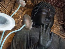 Giant Buddha in Nara shrine royalty free stock photos Giant Buddha in Nara shrine royalty free stock photos