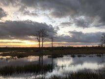 Sunset in the swamps. Giant orange sun sets behind the bayou of a cypress swamp and reflects in the river royalty free stock image Sunset in the swamps. Giant orange sun sets behind the bayou of a cypress swamp and reflects in the river royalty free stock image