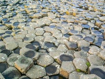 Giant`s Causeway, Antrim Co., Northern Ireland, UK, Europe stock photo Giant`s Causeway, Antrim Co., Northern Ireland, UK, Europe stock photo
