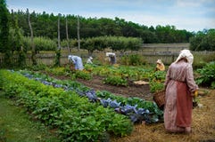 Giardinaggio delle donne immagine stock libera da diritti Giardinaggio delle donne immagine stock libera da diritti