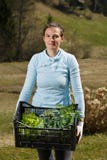 Giardiniere della donna che mostra a piantine raccolta pronta ad essere piantato sul giardino fotografie stock libere da diritti Giardiniere della donna che mostra a piantine raccolta pronta ad essere piantato sul giardino fotografie stock libere da diritti