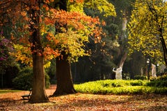 Giardino botanico, Buenos Aires immagini stock libere da diritti Giardino botanico, Buenos Aires immagini stock libere da diritti