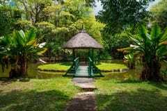 Giardino botanico Pamplemousses, Mauritius fotografia stock libera da diritti Giardino botanico Pamplemousses, Mauritius fotografia stock libera da diritti