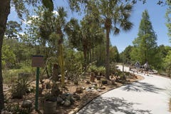 Giardino botanico U.S.A. di Florida Immagini Stock Giardino botanico U.S.A. di Florida Immagini Stock