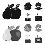 Giardino, coltivare, natura e l'altra icona di web nello stile nero e monocromatico Pianta, radice, gambo, icone nella raccolta d Fotografie Stock Libere da Diritti Giardino, coltivare, natura e l'altra icona di web nello stile nero e monocromatico Pianta, radice, gambo, icone nella raccolta d Fotografie Stock Libere da Diritti