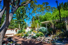 Giardino del succulente e del cactus - Sherman Library - Corona del Mar, Fotografia Stock Giardino del succulente e del cactus - Sherman Library - Corona del Mar, Fotografia Stock