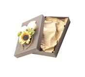 Gift-8 Stock Photos Gift-8 Stock Photos