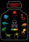 Giftig dierlijk infographic pictogram stock illustratie Giftig dierlijk infographic pictogram stock illustratie