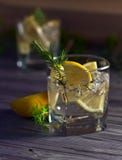 Gin with lemon and ice stock photos Gin with lemon and ice stock photos
