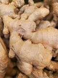 Ginger Roots foto de stock Ginger Roots foto de stock