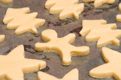 Gingersnap στοκ εικόνες Gingersnap στοκ εικόνες