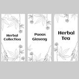 Ginseng vertikala baner royaltyfri illustrationer Ginseng vertikala baner royaltyfri illustrationer